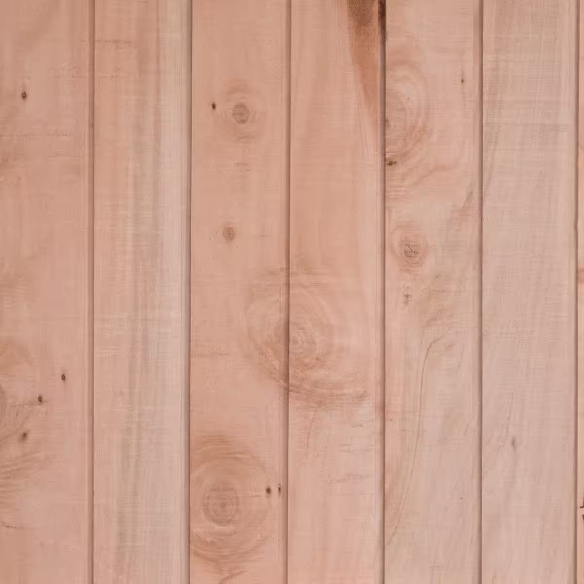 Shiplap paneling in Hamptons Coastal interior